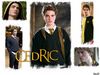 Harry Potter HPS (4).jpg