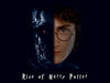 _Rise-of-Harry-Potter.jpg