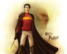 Harry_Potter_by_Hito76[1].jpg