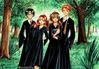 Harry_GinnyRon_Hermione.jpg