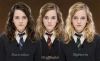 What If Hermione Granger Goes To Ravenclaw Or Slytherin.jpg