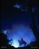 lord-of-the-rings-photo-xxl-lord-of-the-rings-6233902.jpg