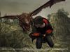harrydragongofgame.jpg