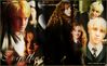 draco-hermione-art3a.jpg