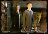 25f77a231291c156polandootpharrymcgonagall.jpg