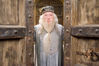 dumbledore.jpg