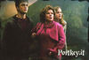 emmawatson-dot-com_harrypotter-tootpt-products-stickerbook-033.jpg