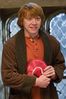 movies_officialhalfbloodprince_lovelornronweasley_004.jpg