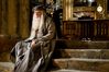 movies_officialhalfbloodprince_professordumbledore_006.jpg