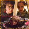 harryhermione[1].jpg