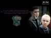Draco1-wallpaper-800.jpg