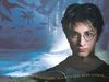 harry48a.jpg