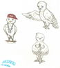 Hedwig2.jpg