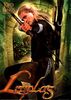 The-Lord-of-the-Rings---Two-Towers---Legolas-Poster-C10290135.jpeg
