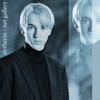 draco.gif