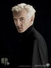 draco.jpg