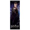 movies_ootp_posters_bannerharrygermany_04.jpg