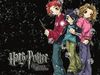 Harry_Potter_wallpaper[1].jpg