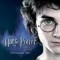shahinpotter