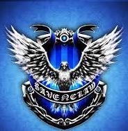 hamedhsd