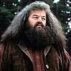 Rubeus Hagrid