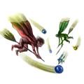 فصل یازدهم: Quidditch