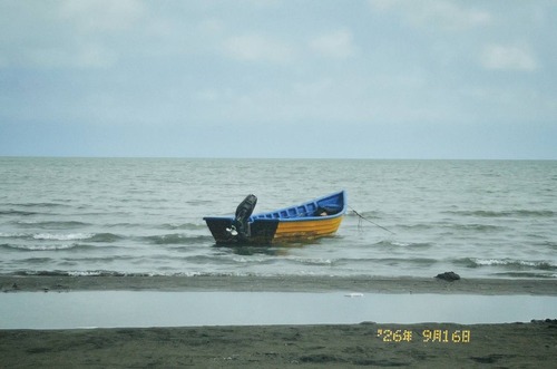 تصویر اصلی