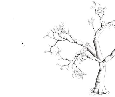 1_47073f0fb83c7.jpg 474X397 px
