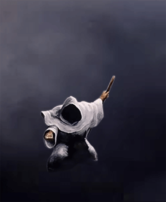 5135_42ae638309c59.gif 340X413 px